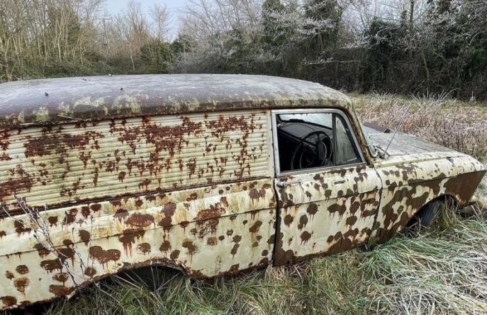 Коллекционер и реставратор нашел ржавый «Москвич-434П» (5 фото)