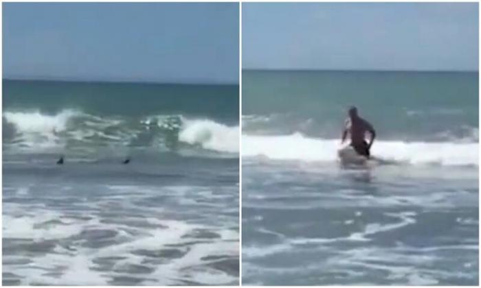 Мужчина ринулся из океана, увидев позади двух акул (4 фото)