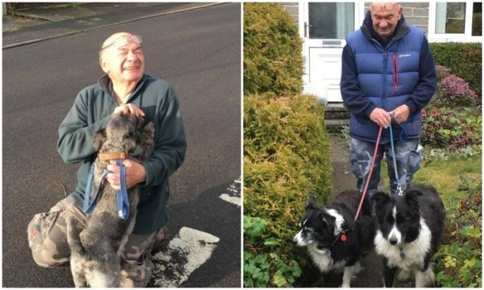 74-летний ветеран уже 13 лет выгуливает собак (4 фото)
