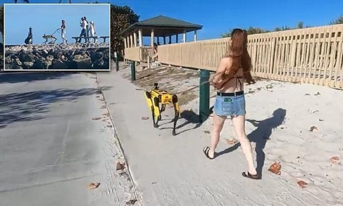 Женщина выгуливает пса-робота (5 фото)