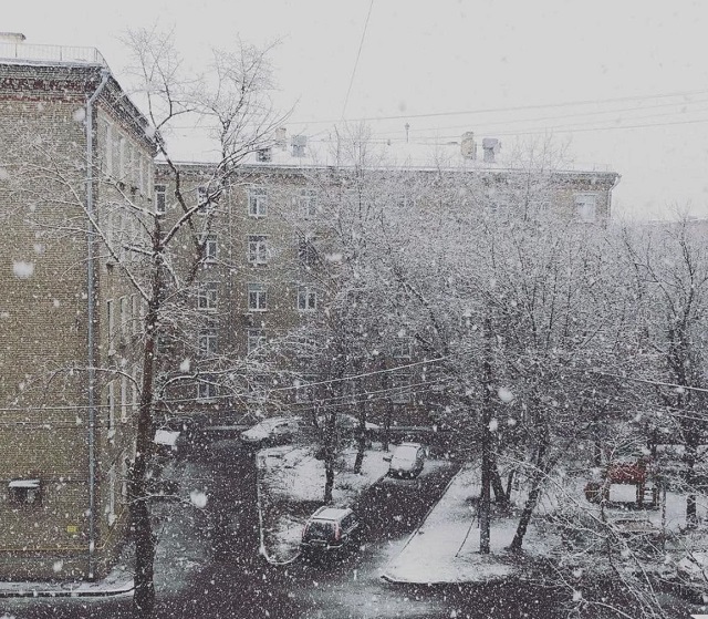 Весна отменяется: Москву накрыл снегопад (3 фото)