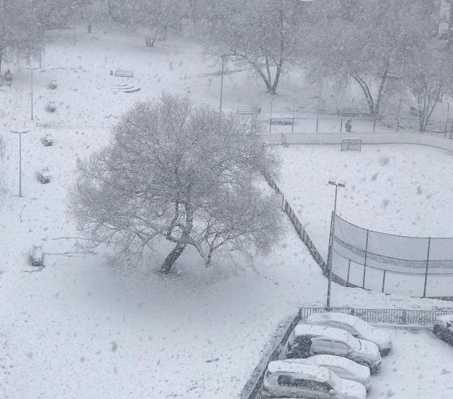 Весна отменяется: Москву накрыл снегопад (3 фото)