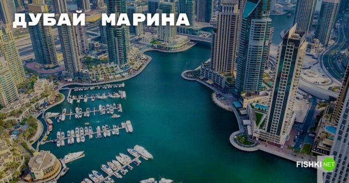 Дубай Марина — самая большая в мире искусственная пристань (8 фото)