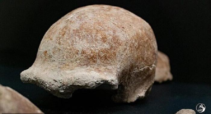 Обнаружены останки неандертальцев которым 100 тыс. лет (5 фото)