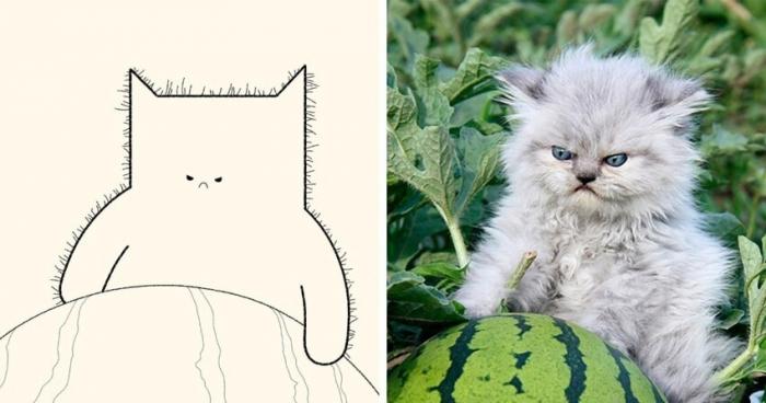 Минималистичные рисунки мемных котов (21 фото)