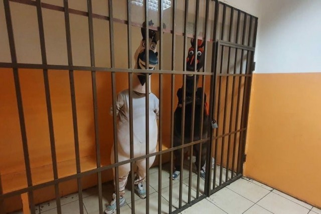 Сочинские полицейские задержали зазывал в костюмах животных (4 фото)
