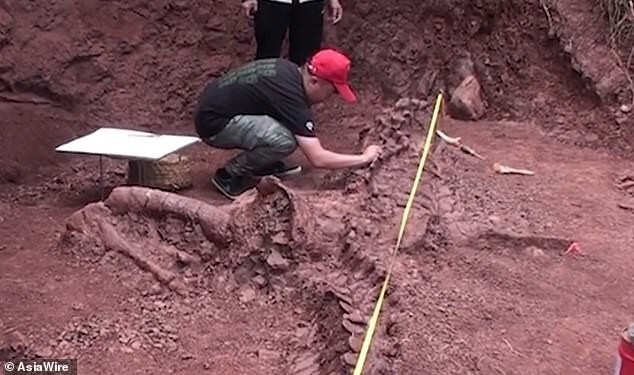В Китае нашли уникальный скелет гигантского динозавра (9 фото)