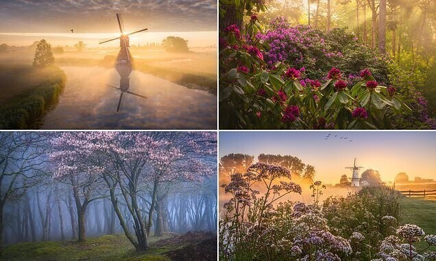 Весенние голландские пейзажи от Альберта Дроса (23 фото)