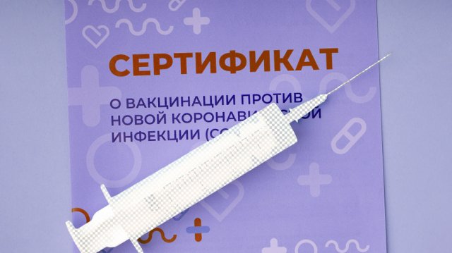Как устроен черный рынок сертификатов вакцинации от короны (10 фото)