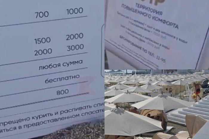 В Сочи обнаружили элитный пляж, на котором спасение утопающего оценили в 800 рублей (3 фото)  