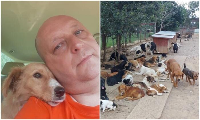Мужчина из Сербии спасает сотни бродячих собак с улицы (25 фото)
