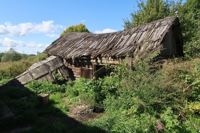 Опустевшие деревни Псковской области (34 фото)  