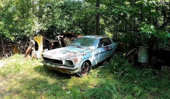 Заброшенный Ford Mustang 1966 года впервые за 30 лет самостоятельно поехал (4 фото) 
