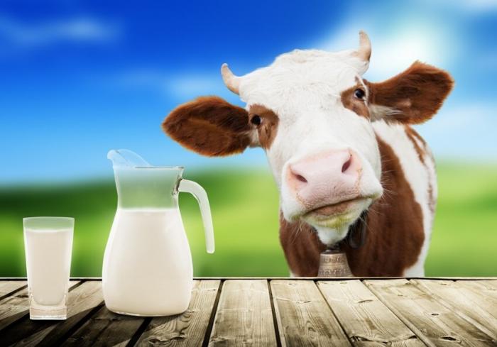 Молоко: несочетаемые сочетания (3 фото)