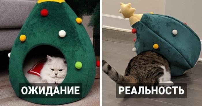 Хозяева хотели порадовать своих котиков и собак подарками, но что-то пошло не так (18 фото)  