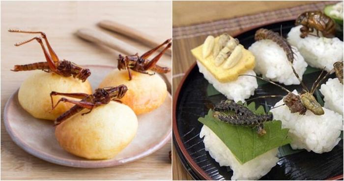  Поедание насекомых в Японии (5 фото) 