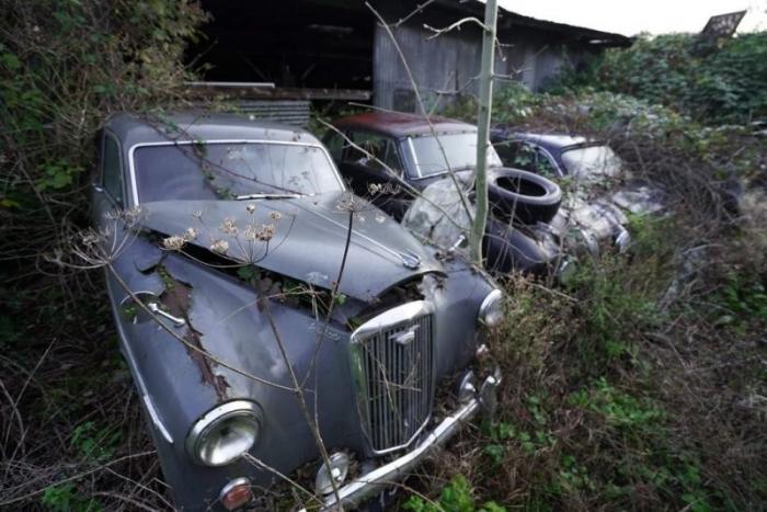  Эпическая находка: в сарае стоят десятки классических британских автомобилей (8 фото)  