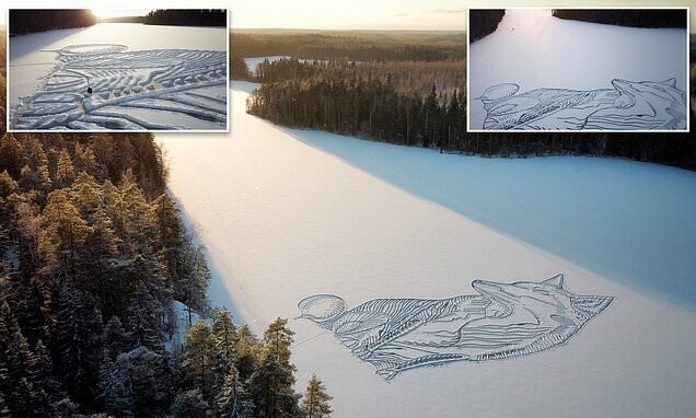  Потрясающая лиса высотой 90 метров на замерзшем озере в Финляндии (4 фото)  