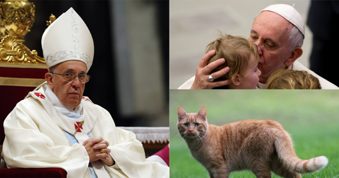  Имеете домашнее животное? Вы эгоист: версия Папы Римского (8 фото) 