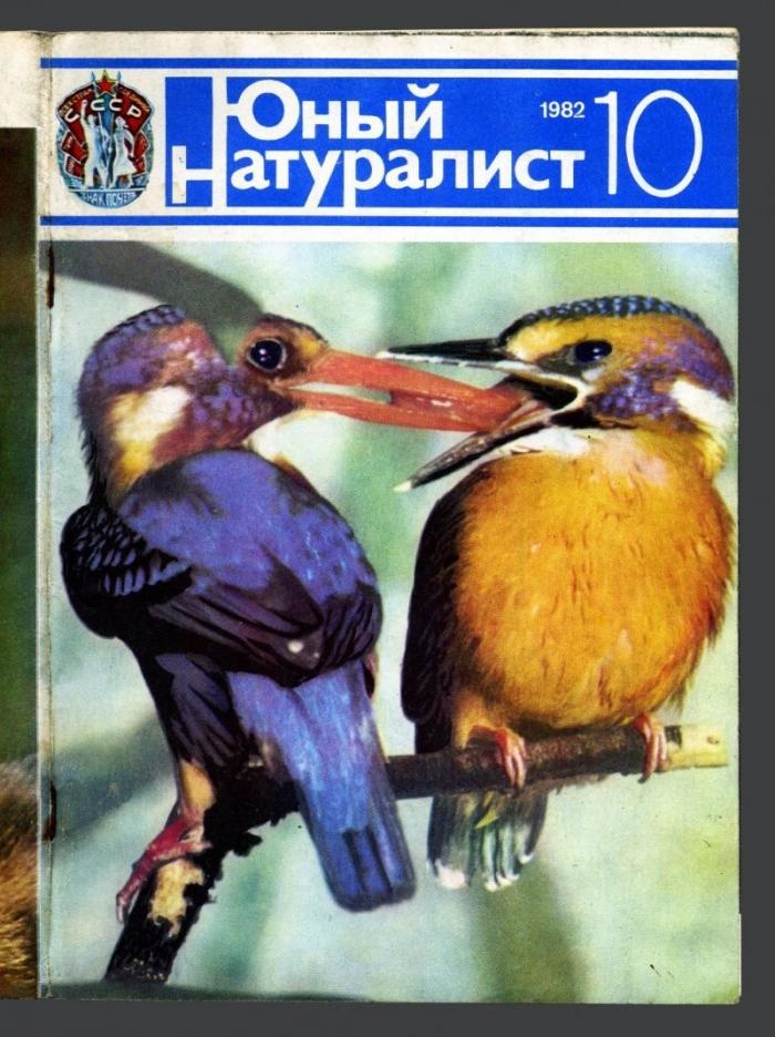  Рубрика: журналы СССР. Журнал - "Юный натуралист". 10 номер 1982 года (26 фото) 