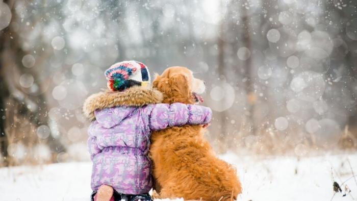  Пёс спас маленькую девочку во время снежной бури на Сахалине (2 фото)  