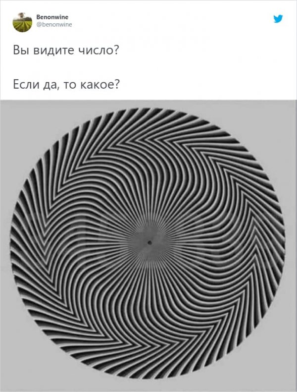 "Какое число вы видите?": пользователь Твиттера сломал голову подписчикам оптической иллюзией (4 фото)