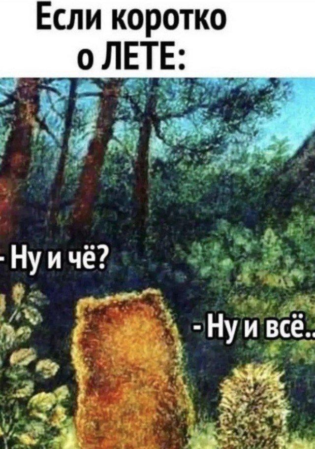 Планы на лето шутка