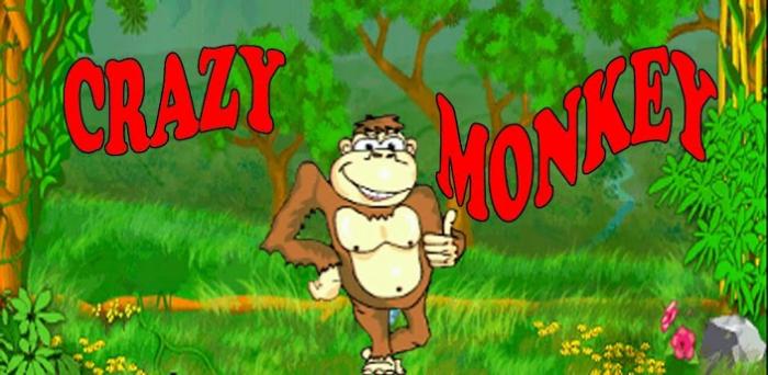 Crazy Monkey -      