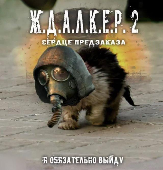   STALKER 2 (15 )