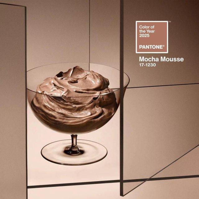   Pantone   2025  Mocha Mousse (3 )