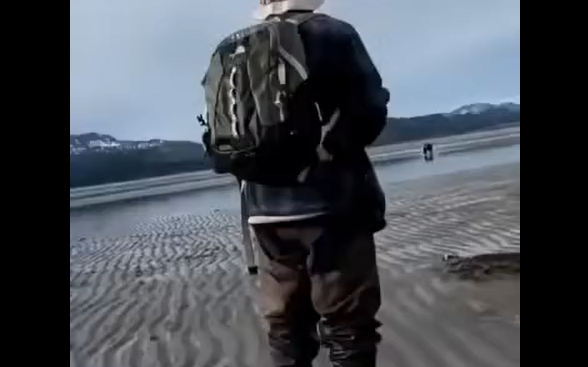 Отпугнули! (видео)