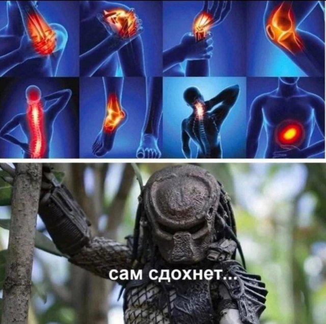 Смешные картинки (15 фото)