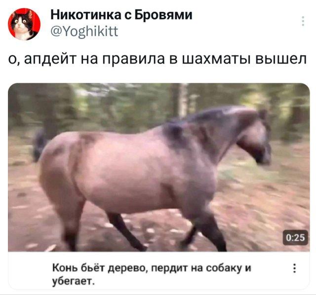 Подборка забавных твитов обо всем (15 фото)