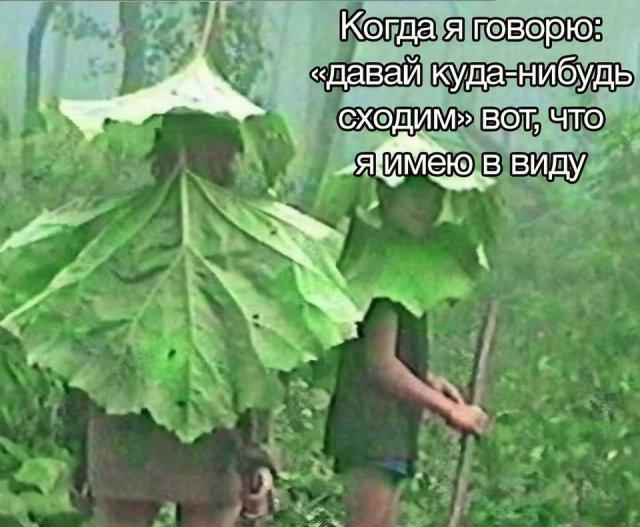  Лучшие шутки и мемы из Сети (15 фото)