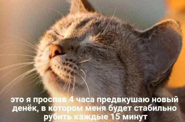 Смешные картинки (15 фото)