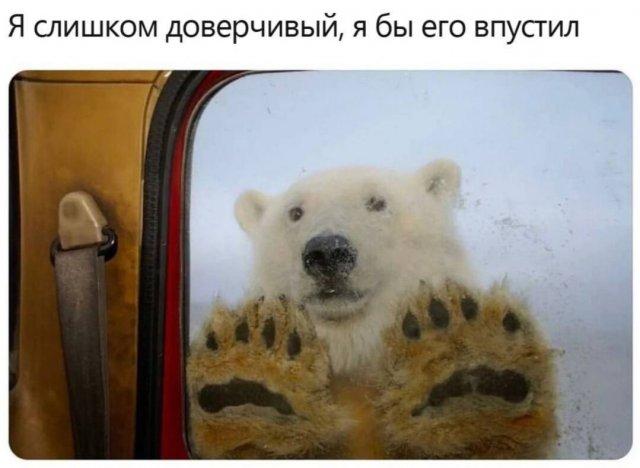 Смешные мемы (15 фото)