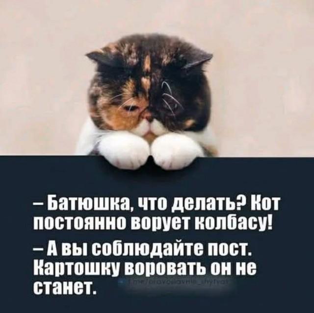 Лучшие шутки и мемы из Сети (15 фото)