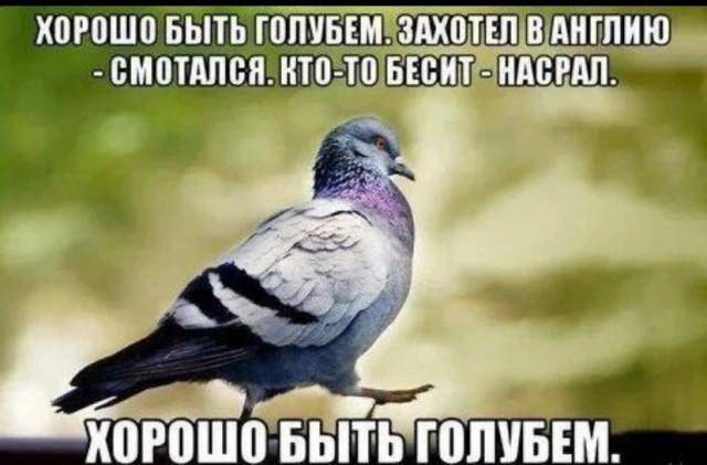 Лучшие шутки и мемы из Сети (15 фото)