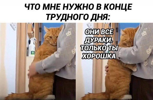 Смешные мемы (15 фото)