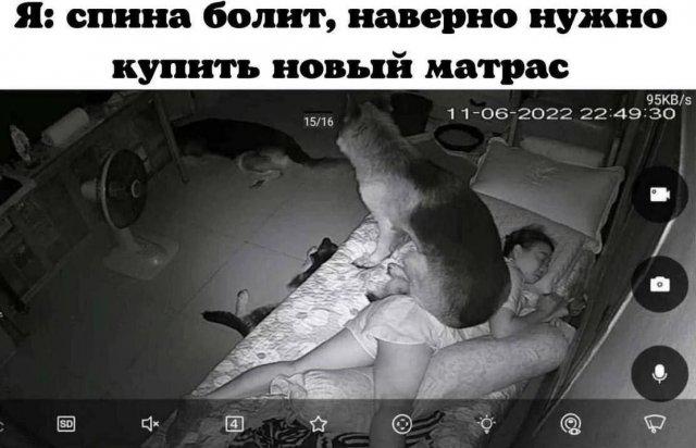 Лучшие шутки и мемы из Сети (15 фото)