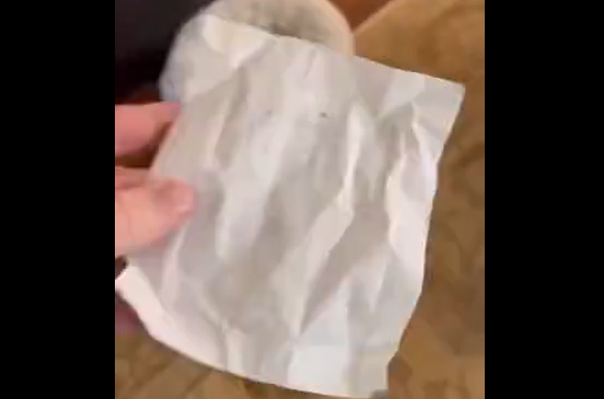Один из этих псов украл и съел пачку масла (видео)