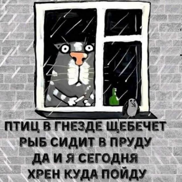 Лучшие шутки и мемы из Сети (15 фото)