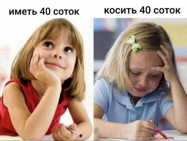 Смешные картинки (15 фото)