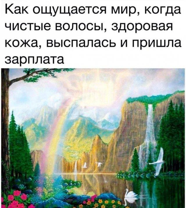 Смешные мемы (15 фото)