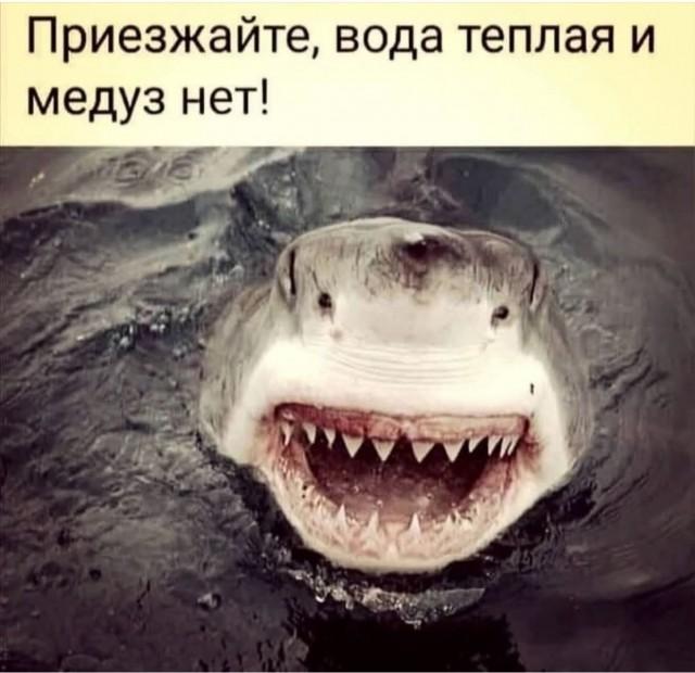 Подборка прикольных фото №3688 (30 фото)