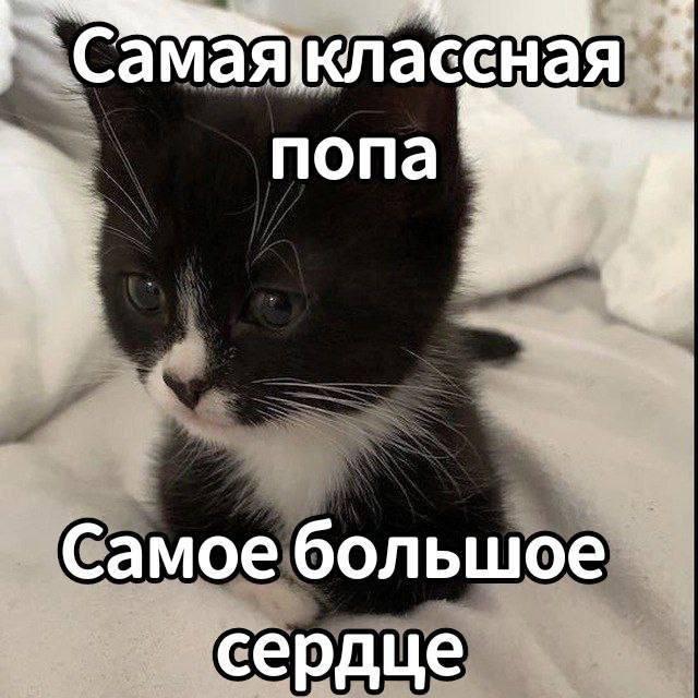 Смешные картинки (15 фото)