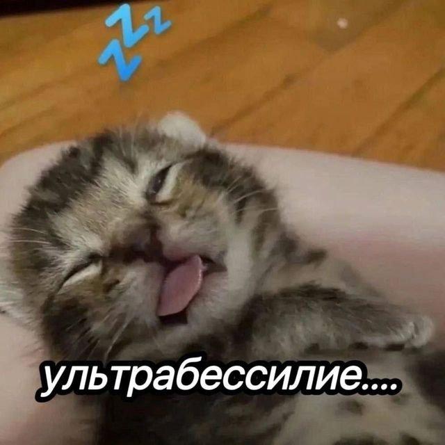 Смешные мемы (15 фото)
