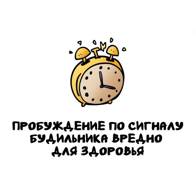 Интересные факты на все случаи жизни (15 фото)