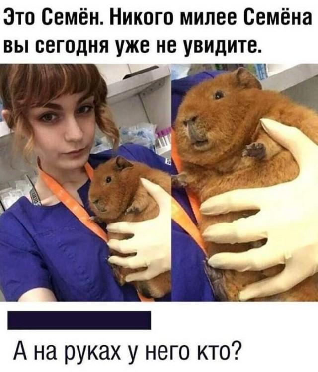 Подборка прикольных фото №3690 (30 фото)