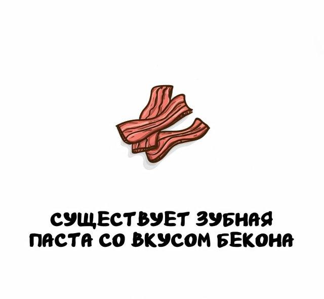Интересные факты на все случаи жизни (14 фото)